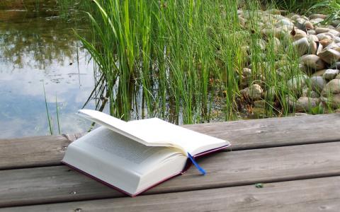 Buch am See