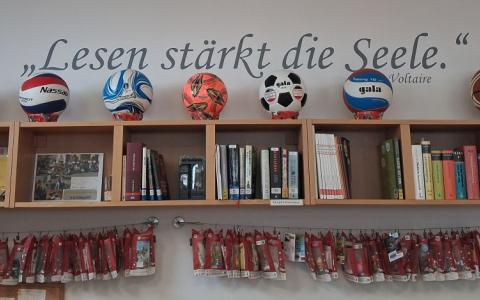 Ballauswahl